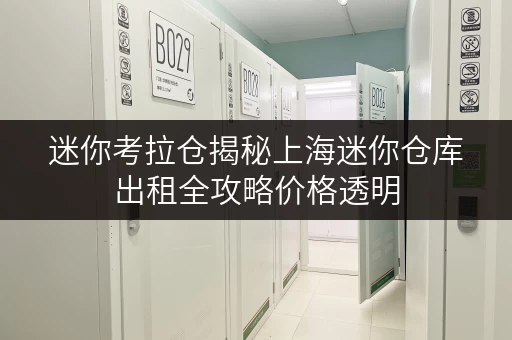 迷你考拉仓揭秘上海迷你仓库出租全攻略价格透明，省钱有高招！