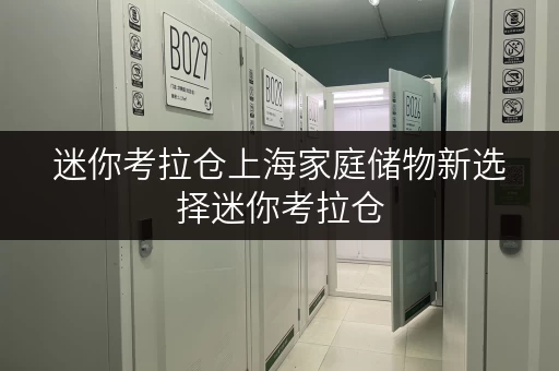 迷你考拉仓上海家庭储物新选择迷你考拉仓,便捷全时段服务,您的私人储物空间 迷你考拉仓上海家庭储物新选择迷你考拉仓,便捷全时段服务,您的私人储物空间