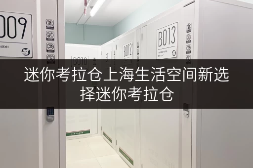 迷你考拉仓上海生活空间新选择迷你考拉仓,存取便利,全时段服务 迷你考拉仓上海生活空间新选择迷你考拉仓,存取便利,全时段服务