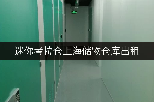 迷你考拉仓上海储物仓库出租,全时段便捷,生活无忧 迷你考拉仓上海储物仓库出租,全时段便捷,生活无忧
