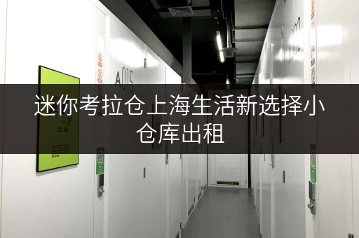 迷你考拉仓上海生活新选择小仓库出租，存取便捷，全时段服务，你的空间管家！