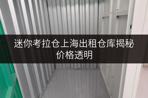 迷你考拉仓上海出租仓库揭秘价格透明，轻松省钱攻略！