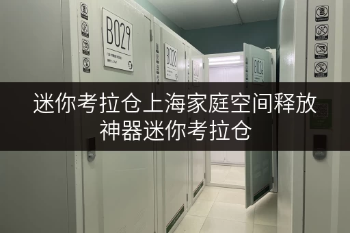 迷你考拉仓上海家庭空间释放神器迷你考拉仓，安全温湿监控，让您的物品安心“安家”