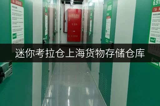 迷你考拉仓上海货物存储仓库,告别存储烦恼,省心方案一网打尽 迷你考拉仓上海货物存储仓库,告别存储烦恼,省心方案一网打尽