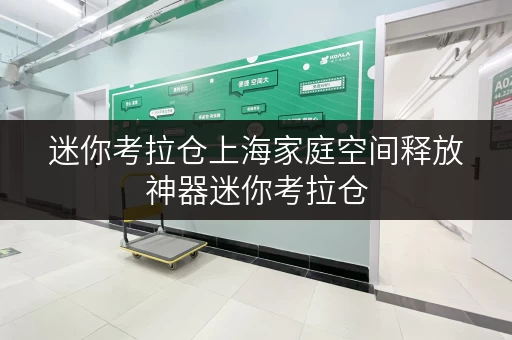 迷你考拉仓上海家庭空间释放神器迷你考拉仓，安全温湿监控守护您的宝贝