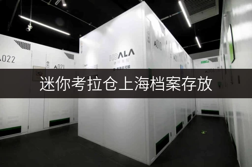 迷你考拉仓上海档案存放,迷你考拉仓守护您的珍贵记忆 迷你考拉仓上海档案存放,迷你考拉仓守护您的珍贵记忆