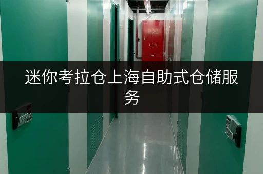 迷你考拉仓上海自助式仓储服务，安全守护，温湿监测，您的私人“第三空间”