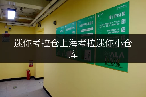 迷你考拉仓上海考拉迷你小仓库,空间巧规划,生活更便捷! 迷你考拉仓上海考拉迷你小仓库,空间巧规划,生活更便捷!