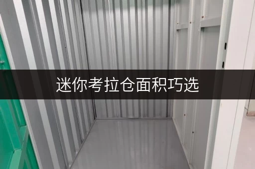 迷你考拉仓面积巧选,空间无忧——上海迷你考拉仓,您的储物空间专家 迷你考拉仓面积巧选,空间无忧——上海迷你考拉仓,您的储物空间专家