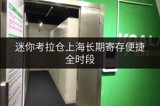 迷你考拉仓上海长期寄存便捷全时段,释放居家空间新选择 迷你考拉仓上海长期寄存便捷全时段,释放居家空间新选择