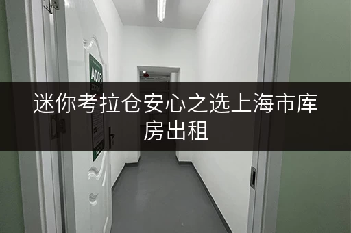 迷你考拉仓安心之选上海市库房出租，迷你考拉仓守护您的存储安全与温湿度
