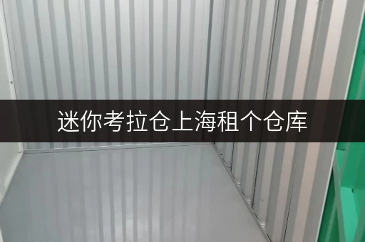 迷你考拉仓上海租个仓库,迷你考拉仓让您存取无忧,全时段服务尽享便捷 迷你考拉仓上海租个仓库,迷你考拉仓让您存取无忧,全时段服务尽享便捷
