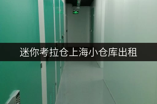迷你考拉仓上海小仓库出租,省钱攻略全解析 迷你考拉仓上海小仓库出租,省钱攻略全解析