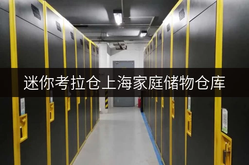 迷你考拉仓上海家庭储物仓库,告别空间焦虑,尽享便捷生活 迷你考拉仓上海家庭储物仓库,告别空间焦虑,尽享便捷生活