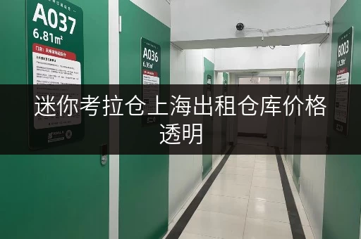 迷你考拉仓上海出租仓库价格透明,存取无忧,全天候服务全攻略 迷你考拉仓上海出租仓库价格透明,存取无忧,全天候服务全攻略