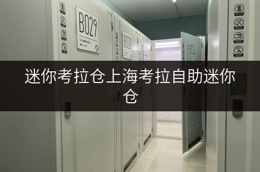 迷你考拉仓上海考拉自助迷你仓,办公空间释放新思路 迷你考拉仓上海考拉自助迷你仓,办公空间释放新思路