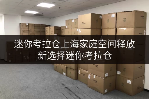 迷你考拉仓上海家庭空间释放新选择迷你考拉仓,让生活更美好 迷你考拉仓上海家庭空间释放新选择迷你考拉仓,让生活更美好