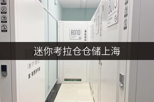 迷你考拉仓仓储上海,轻松收纳,随存随取更便捷——迷你考拉仓体验分享 迷你考拉仓仓储上海,轻松收纳,随存随取更便捷——迷你考拉仓体验分享