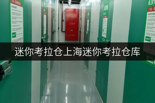 迷你考拉仓上海迷你考拉仓库,守护您的珍贵物品,温湿度监控全方位守护 迷你考拉仓上海迷你考拉仓库,守护您的珍贵物品,温湿度监控全方位守护
