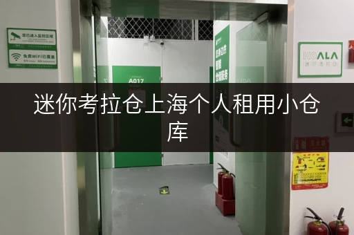 迷你考拉仓上海个人租用小仓库,安全温控,贴心守护你的每一件宝贝 迷你考拉仓上海个人租用小仓库,安全温控,贴心守护你的每一件宝贝