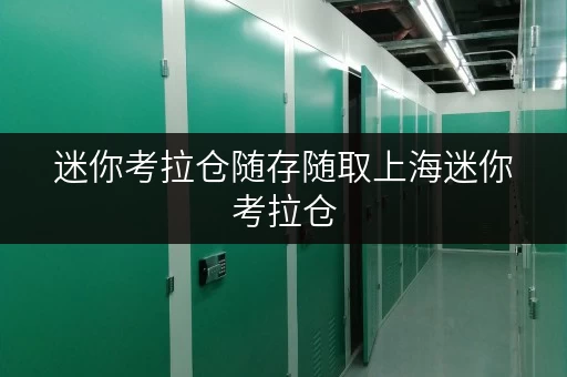 迷你考拉仓随存随取上海迷你考拉仓,您的便捷存储新选择 迷你考拉仓随存随取上海迷你考拉仓,您的便捷存储新选择