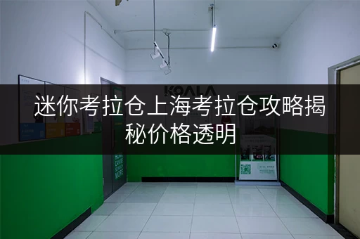 迷你考拉仓上海考拉仓攻略揭秘价格透明,教你轻松省钱小技巧! 迷你考拉仓上海考拉仓攻略揭秘价格透明,教你轻松省钱小技巧!
