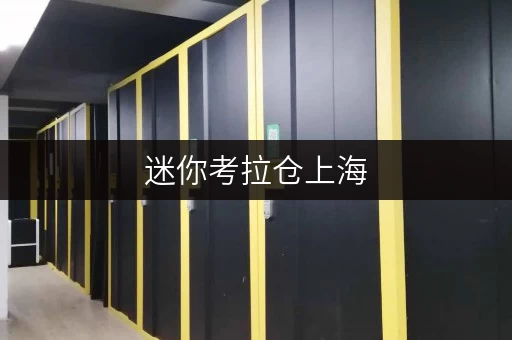 迷你考拉仓上海,便捷生活新选择——迷你考拉仓,让设备工具存储无忧 迷你考拉仓上海,便捷生活新选择——迷你考拉仓,让设备工具存储无忧