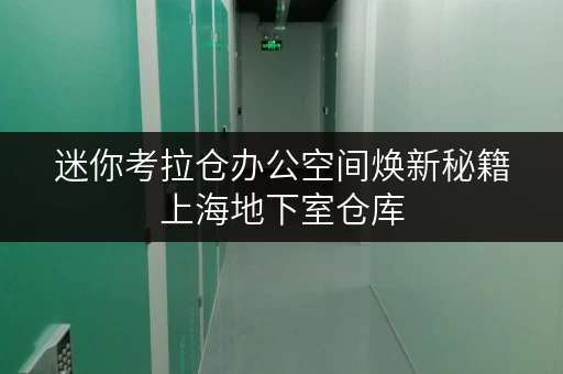 迷你考拉仓办公空间焕新秘籍上海地下室仓库,轻松释放办公空间! 迷你考拉仓办公空间焕新秘籍上海地下室仓库,轻松释放办公空间!