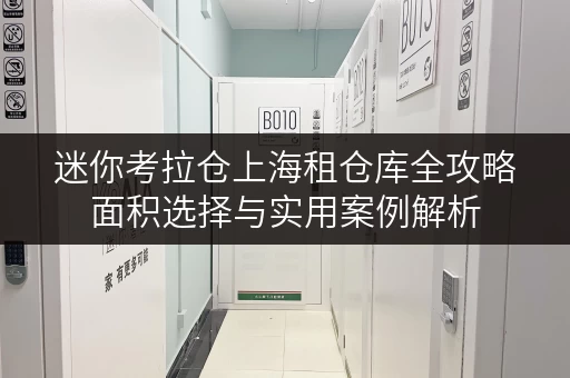 迷你考拉仓上海租仓库全攻略面积选择与实用案例解析 迷你考拉仓上海租仓库全攻略面积选择与实用案例解析