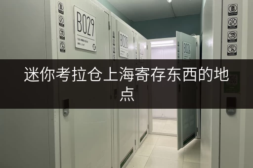 迷你考拉仓上海寄存东西的地点,告别杂物烦恼 迷你考拉仓上海寄存东西的地点,告别杂物烦恼