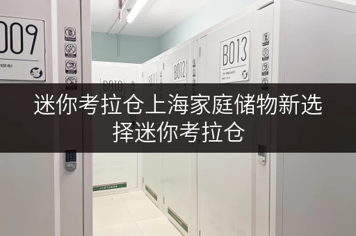 迷你考拉仓上海家庭储物新选择迷你考拉仓,家庭空间的延伸 迷你考拉仓上海家庭储物新选择迷你考拉仓,家庭空间的延伸