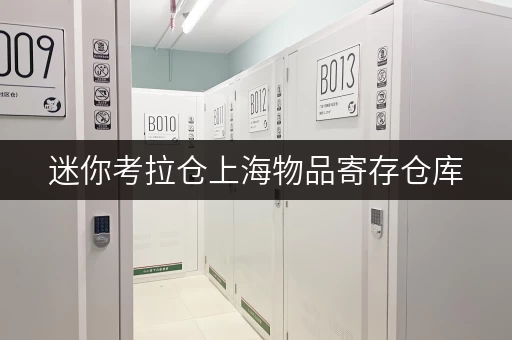 迷你考拉仓上海物品寄存仓库,随存随取,轻松解决你的储物难题 迷你考拉仓上海物品寄存仓库,随存随取,轻松解决你的储物难题