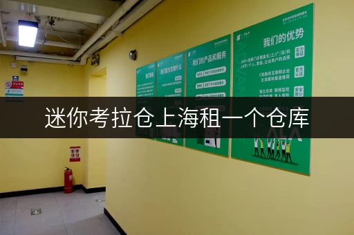 迷你考拉仓上海租一个仓库，释放办公空间新选择
