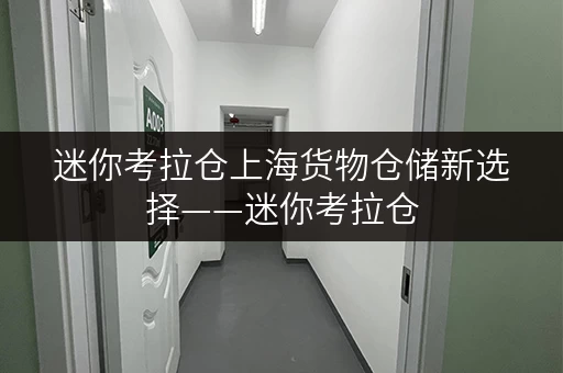 迷你考拉仓上海货物仓储新选择——迷你考拉仓,全时段便捷服务,让您轻松管理货物 迷你考拉仓上海货物仓储新选择——迷你考拉仓,全时段便捷服务,让您轻松管理货物