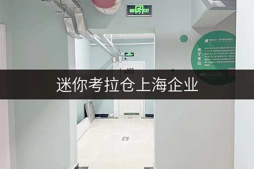 迷你考拉仓上海企业,空间不够用?迷你考拉仓助您打造品质办公空间 迷你考拉仓上海企业,空间不够用?迷你考拉仓助您打造品质办公空间