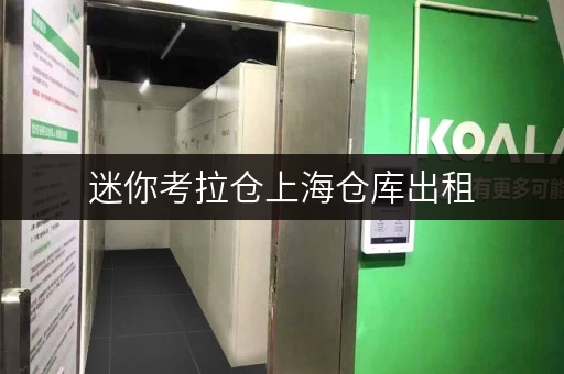 迷你考拉仓上海仓库出租，揭秘如何打造货物存放的省心方案