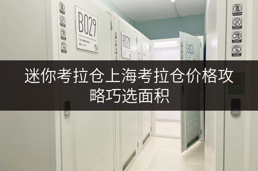 迷你考拉仓上海考拉仓价格攻略巧选面积,轻松存好物 迷你考拉仓上海考拉仓价格攻略巧选面积,轻松存好物