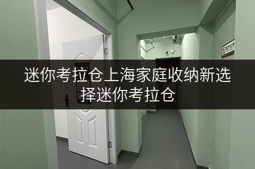 迷你考拉仓上海家庭收纳新选择迷你考拉仓,全时段便捷寄存 迷你考拉仓上海家庭收纳新选择迷你考拉仓,全时段便捷寄存