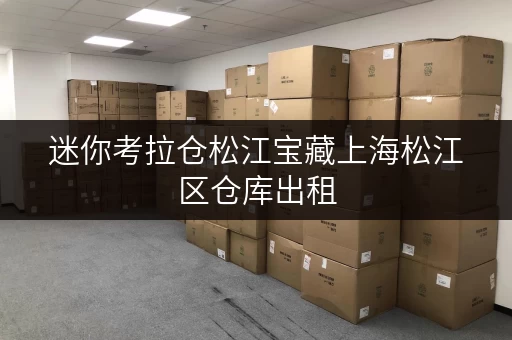 迷你考拉仓松江宝藏上海松江区仓库出租，释放家庭空间，提升生活品质新选择