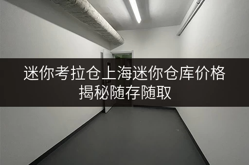迷你考拉仓上海迷你仓库价格揭秘随存随取,便捷无忧 迷你考拉仓上海迷你仓库价格揭秘随存随取,便捷无忧