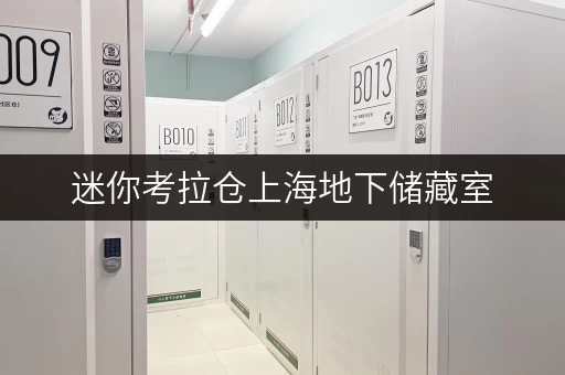 迷你考拉仓上海地下储藏室,空间巧利用,揭秘你的私人储藏秘籍 迷你考拉仓上海地下储藏室,空间巧利用,揭秘你的私人储藏秘籍