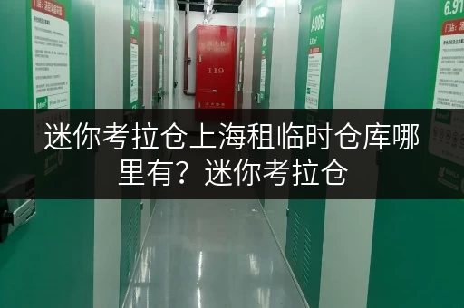迷你考拉仓上海租临时仓库哪里有?迷你考拉仓,安全监控双重保障 迷你考拉仓上海租临时仓库哪里有?迷你考拉仓,安全监控双重保障
