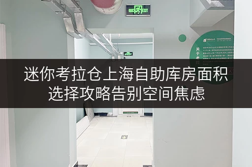 迷你考拉仓上海自助库房面积选择攻略告别空间焦虑,让存储更明智 迷你考拉仓上海自助库房面积选择攻略告别空间焦虑,让存储更明智