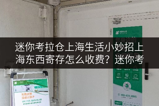 迷你考拉仓上海生活小妙招上海东西寄存怎么收费?迷你考拉仓带你轻松了解全时段服务与便利性 迷你考拉仓上海生活小妙招上海东西寄存怎么收费?迷你考拉仓带你轻松了解全时段服务与便利性