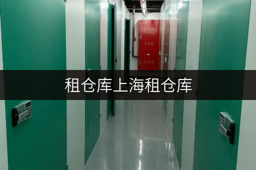 租仓库上海租仓库,一平方多少钱?揭秘迷你仓的便捷存储之道 租仓库上海租仓库,一平方多少钱?揭秘迷你仓的便捷存储之道
