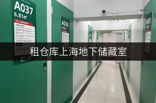 租仓库上海地下储藏室,释放空间,提升生活品质的“秘密基地” 租仓库上海地下储藏室,释放空间,提升生活品质的“秘密基地”
