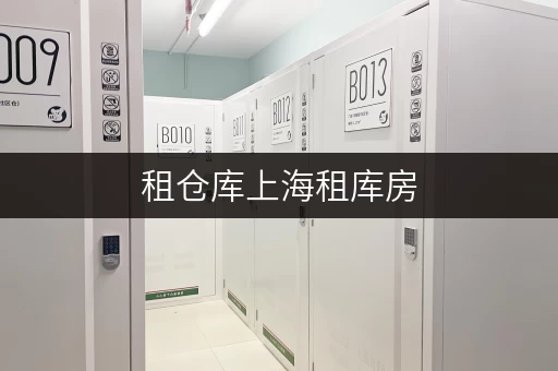 租仓库上海租库房，货物存放更省心——迷你考拉仓打造便捷存储新体验