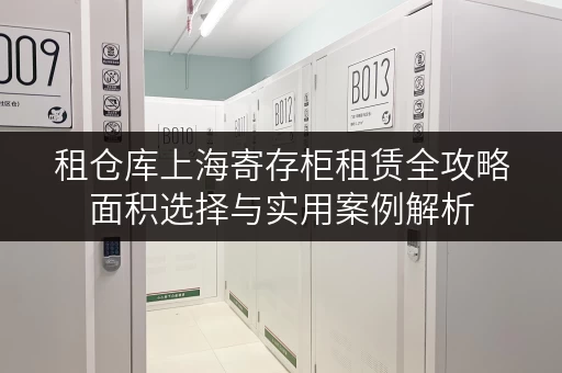 租仓库上海寄存柜租赁全攻略面积选择与实用案例解析 租仓库上海寄存柜租赁全攻略面积选择与实用案例解析