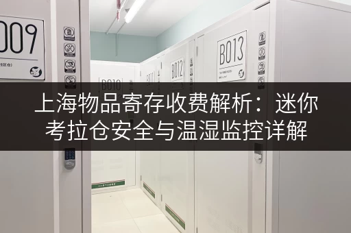 上海物品寄存收费解析:迷你考拉仓安全与温湿监控详解 上海物品寄存收费解析:迷你考拉仓安全与温湿监控详解