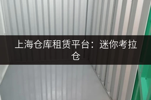 上海仓库租赁平台:迷你考拉仓,释放家庭空间新选择 上海仓库租赁平台:迷你考拉仓,释放家庭空间新选择